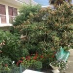 IMG-20150630-WA0013