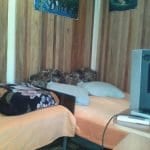 IMG_20161210_113546_0