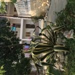 IMG_8823