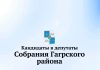 8 ноября состоятся выборы депутатов Собрания Гагрского района