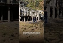 На территории бывшего здания НКВД при содействии Администрации Гагрского района ведутся археологическо-эксгумационные раскопки