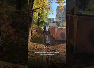 В микрорайоне Кемпинг проведена плановая обрезка деревьев