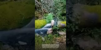 Специалистами МУП «Водоканал Гагрского района» оперативно устраняется нештатная ситуация на участке водопроводной трубы диаметром 250 мм по ул. Героев 16 марта