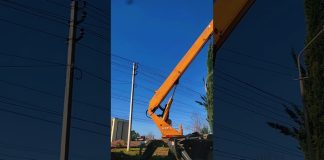 Специалисты МУП «Чистый город» совместно со Спецавтохозяйством города Гагра оперативно удалили аварийное дерево, представлявшее опасность для жителей и городской инфраструктуры на улице Кабардинской