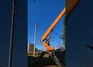 Специалисты МУП «Чистый город» совместно со Спецавтохозяйством города Гагра оперативно удалили аварийное дерево, представлявшее опасность для жителей и городской инфраструктуры на улице Кабардинской