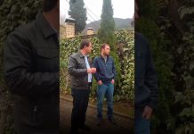 УГХ совместно с МУП «Водоканал» и МУП ЖЭУ проводит работы по модернизации канализационной системы