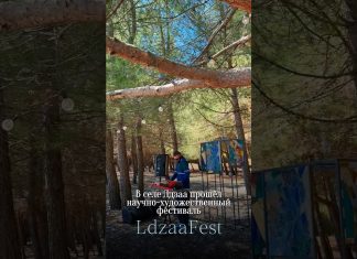 В селе Лдзаа прошёл научно-художественный фестиваль Ldzaa Fest