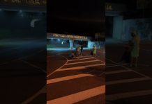 Обновление дорожной разметки в Гагре