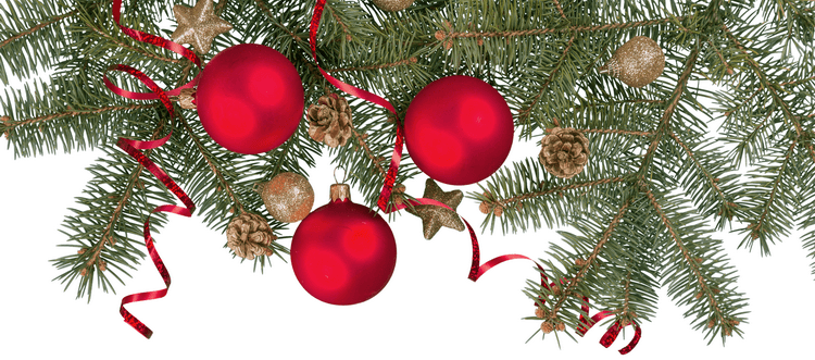 Новый год в Гагре 2015